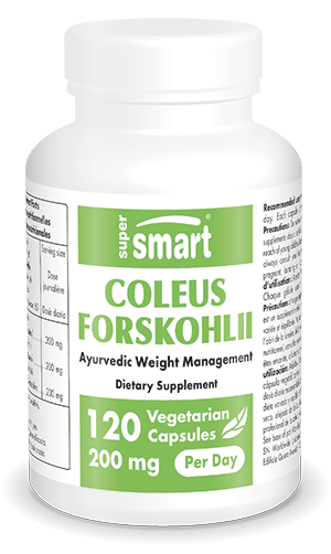 Complément alimentaire de Coleus forskohlii