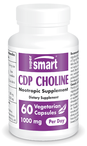 Choline supplement for cognitive function