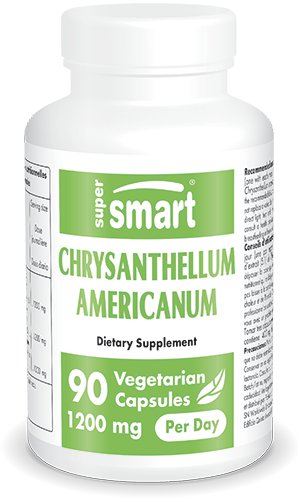 Chrysantellum Americanum Supplement