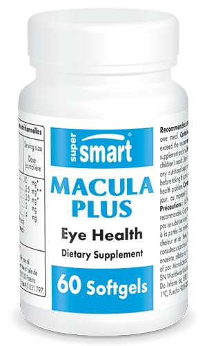 Macula Plus