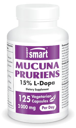 Mucuna pruriens suplemento alimentar, 15% L-Dopa