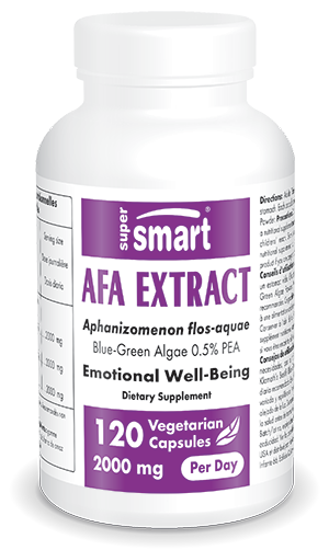 AFA Extract Supplement