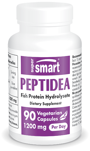 Peptidea