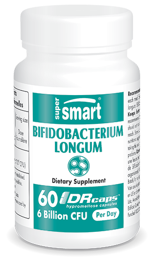 Bifidobacterium longum