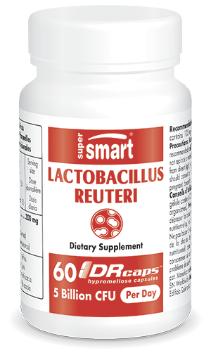 Supplement van Lactobacillus reuteri voor het hart en de vertering