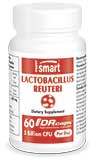 Lactobacillus reuteri