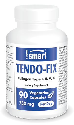 Tendo-Fix