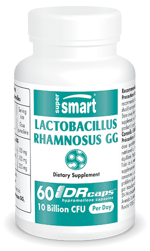 Lactobacillus rhamnosus GG