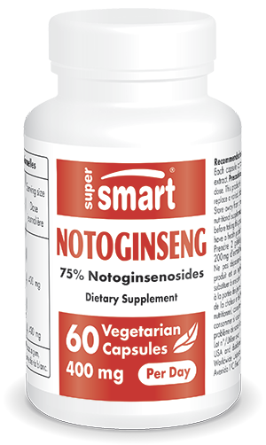 Notoginseng Supplement