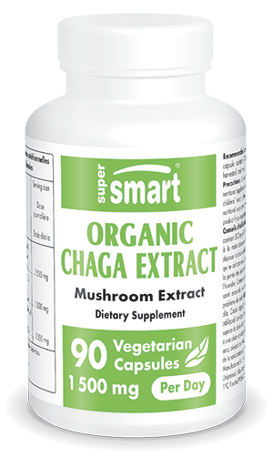 Extrait bio de champignon chaga