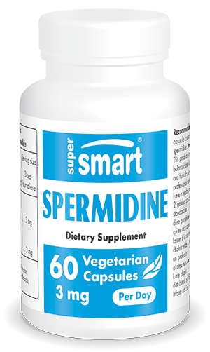 Spermidine supplement for fighting ageing