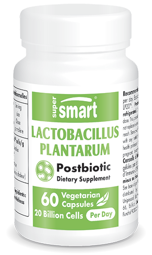 Probiotique de Lactobacillus plantarum HK L-137