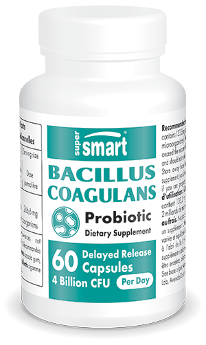 Probioticum Bacillus coagulans 