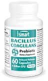 Bacillus Coagulans Probiotic