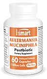 Akkermansia Muciniphila Postbiotic