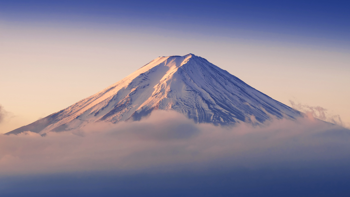 Japan is the birthplace of Kampo medicine. 