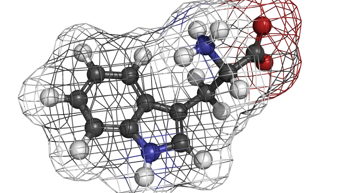 Tryptofaanmolecuul 