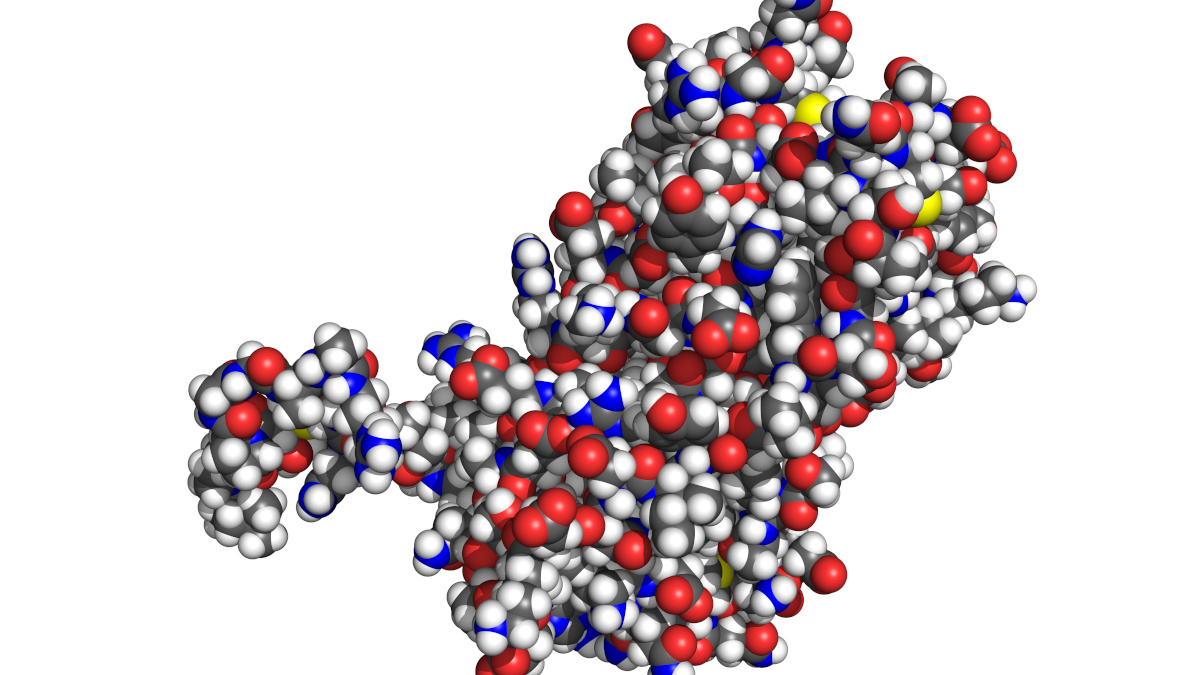 Excess prolactin