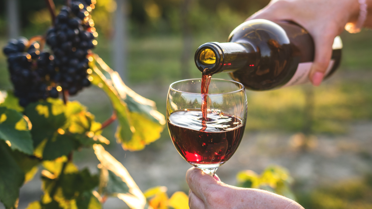 Vin rouge dans un vignoble