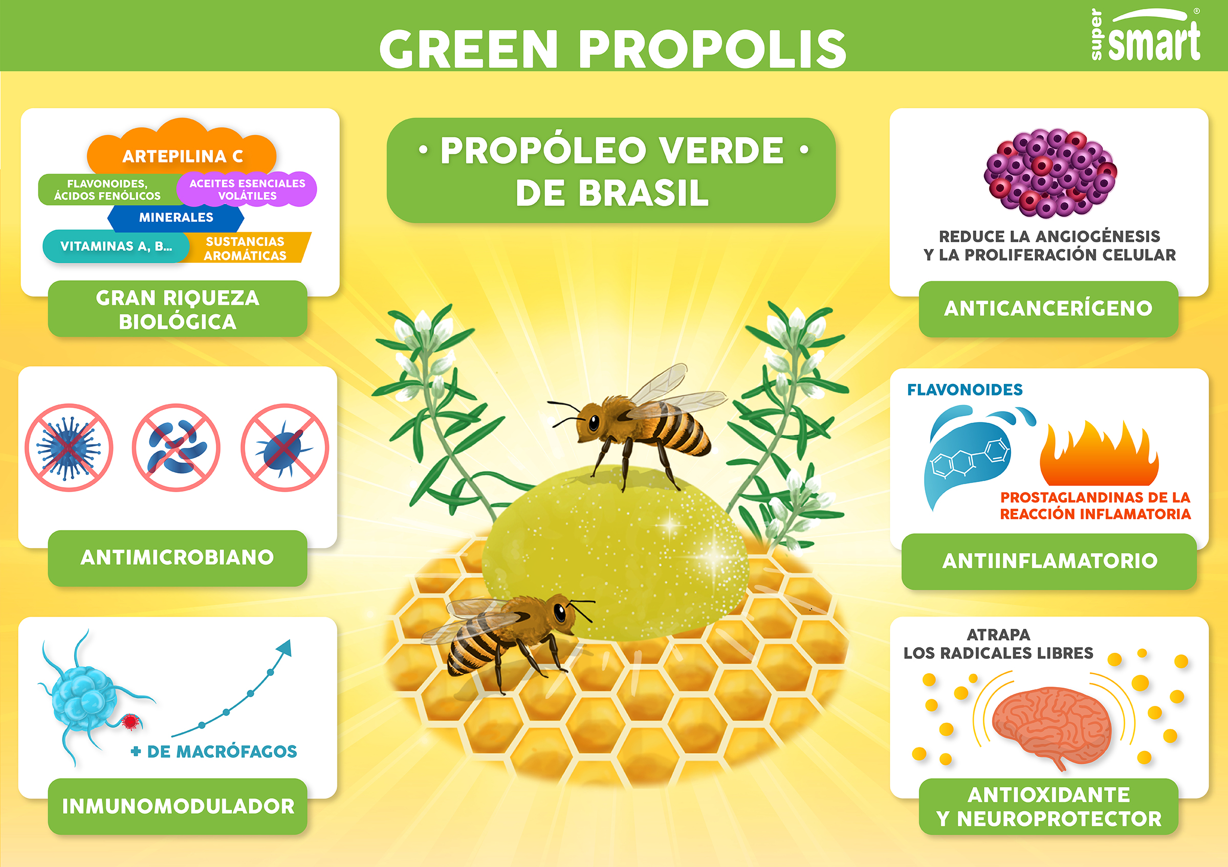 Extracto de propóleo verde 